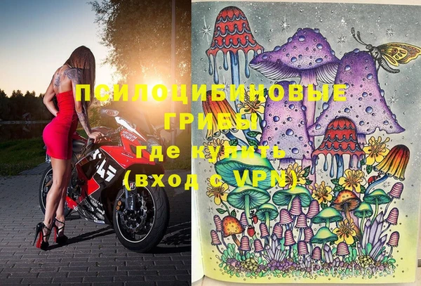 mix Зеленокумск