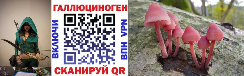 Купить где  Константиновск  Псилоцибиновые грибы мухоморы 
